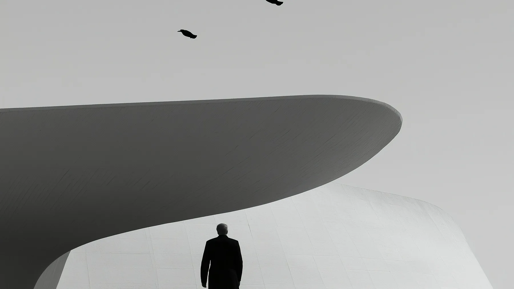 A lone figure walking beneath a vast curved concrete canopy, birds overhead, the building reduced to a single sweeping edge against a pale sky.